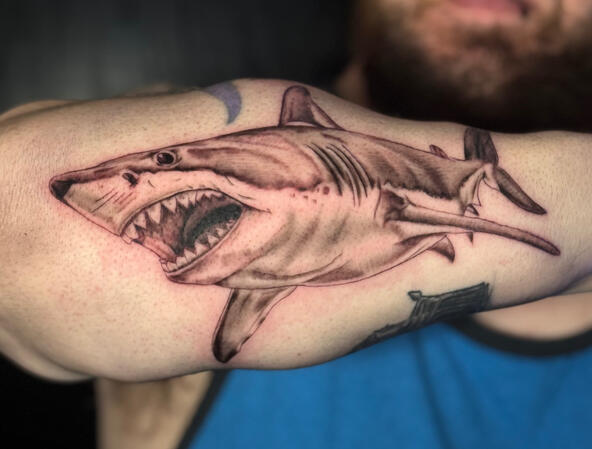 Shark Tattoo Black and Grey Shark tattoo by Desiree in Appleton, Wisconsin